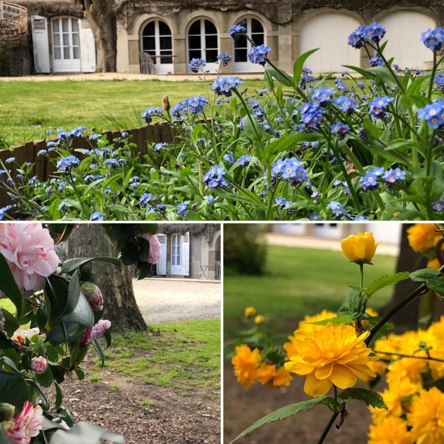 Отель Au Rez De Jardin Шоле Экстерьер фото