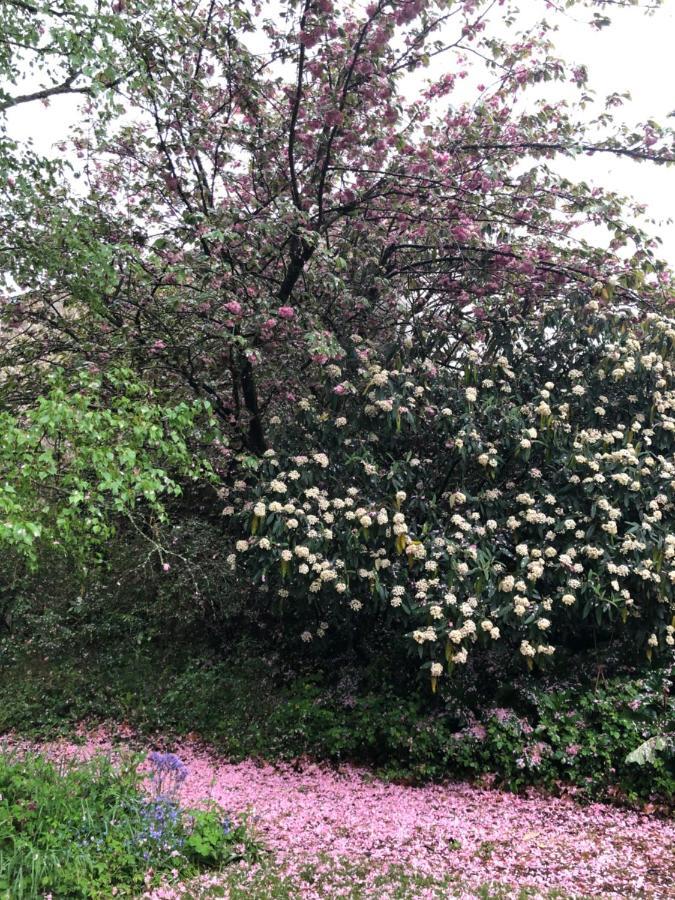 Отель Au Rez De Jardin Шоле Экстерьер фото