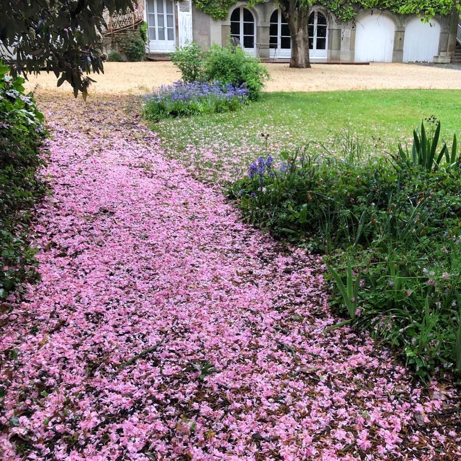 Отель Au Rez De Jardin Шоле Экстерьер фото