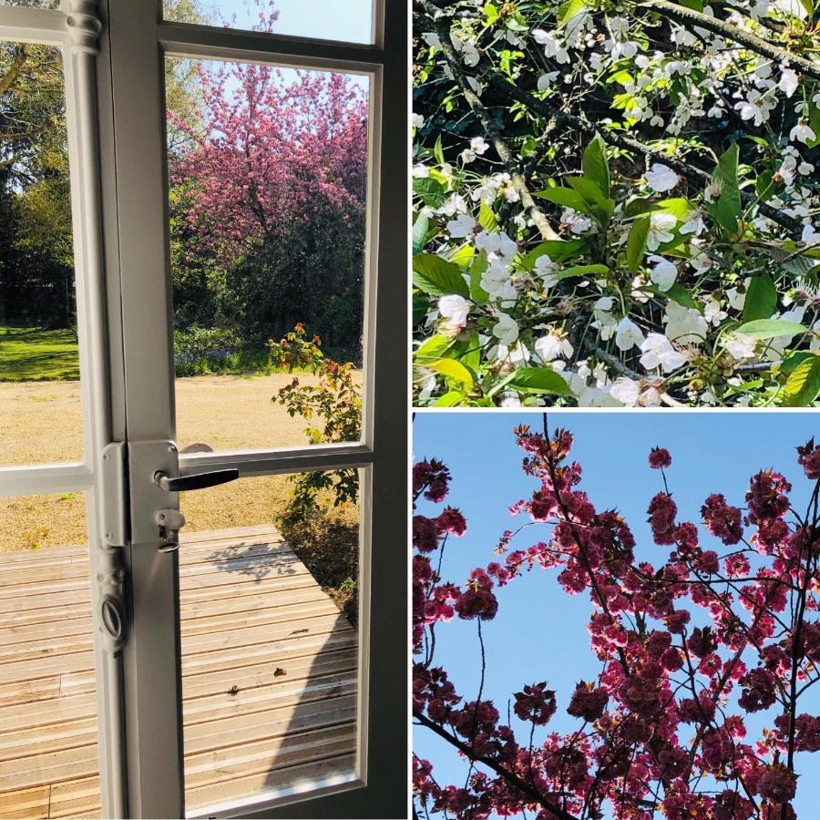 Отель Au Rez De Jardin Шоле Экстерьер фото