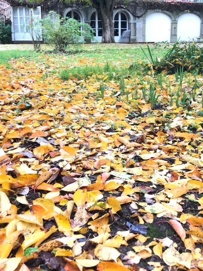 Отель Au Rez De Jardin Шоле Экстерьер фото