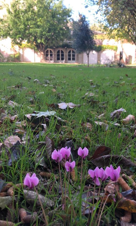 Отель Au Rez De Jardin Шоле Экстерьер фото